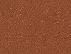 Saddle Brown  color